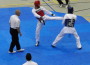 Tae-Kwon-Do Kämpfer auf der Bavaria Open