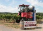 Kurpfälzer Winzerfest 2015 – Mega-Event in der Metropolregion