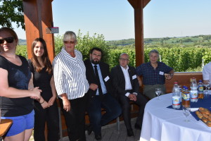 PflanzungLindeWiesloch (2)