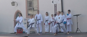 Stadtfest_karate