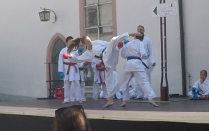 Stadtfest_karate_02