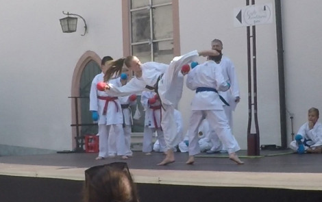 Sportkarate auf dem Stadtfest Wiesloch