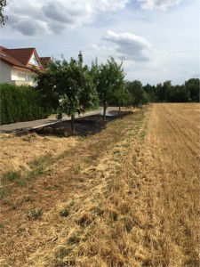 flächenbrand.img-20150722-wa00032