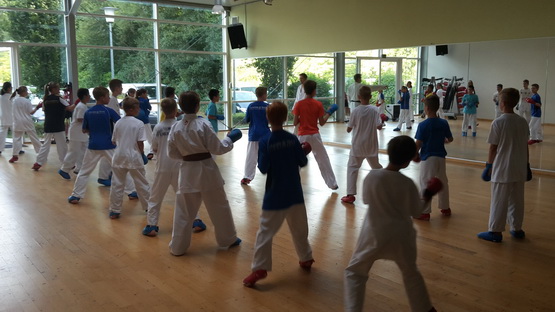 kcrn: Karate Sommercamp 2015