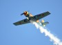Aero-Club: Walldorfer Flugtage begeistern die Zuschauer