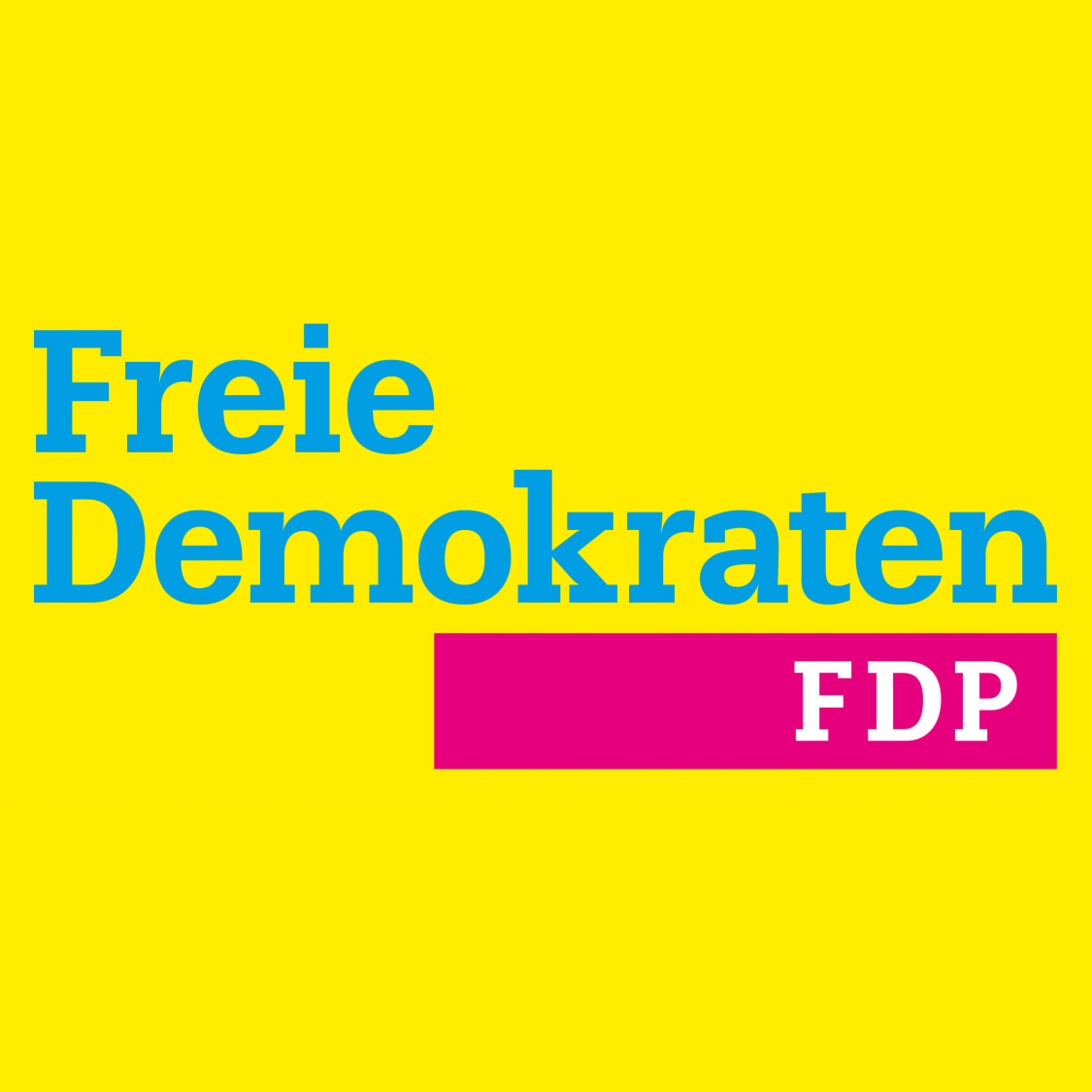 FDP für neues Denken vor kommendem Umbruch