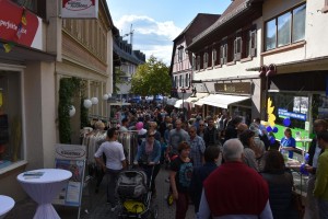 Herbstmarkt2015Sonntag (27)