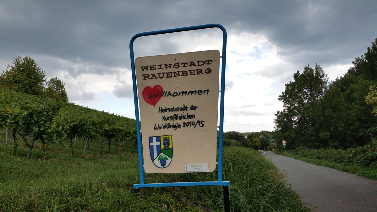 1. Rauenberger Weinwanderung