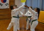 TAE-KWON-DO Jugendteam in Topform