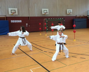 karate_beweg_01