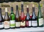 1. Rauenberger Weinwanderung – Ein voller Erfolg