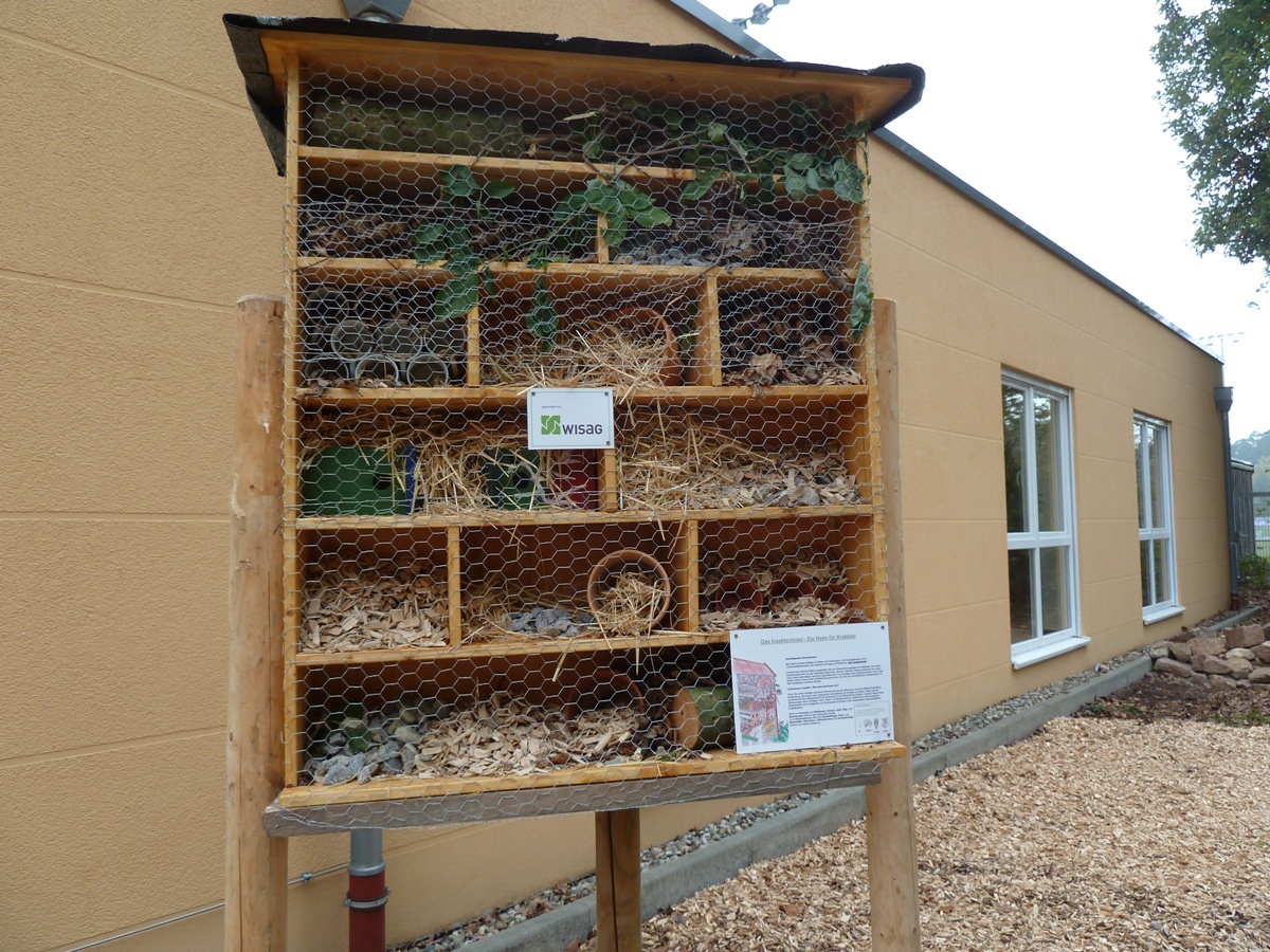 Verschnaufplätze für Käfer und Co.