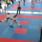 karate_lm_03