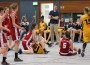 Basketball Damen Sandhausen: Von Bienen und Panthern