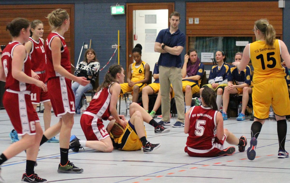 Basketball Damen Sandhausen: Von Bienen und Panthern