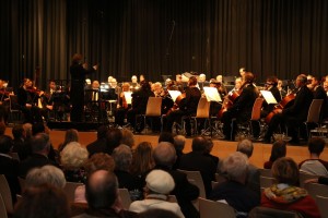 Walldorf. Neujahrsempfang 2015 der Stadt Walldorf in der Astoria-Halle mit Vorstellung der Feuerwehr zum Jubilaeum und Grossen Silvsteerkonzert des SAP Orchesters. 11.01.2015 - Helmut Pfeifer