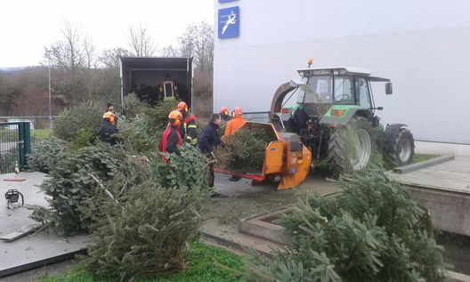 Christbaumsammlung am 07. Januar