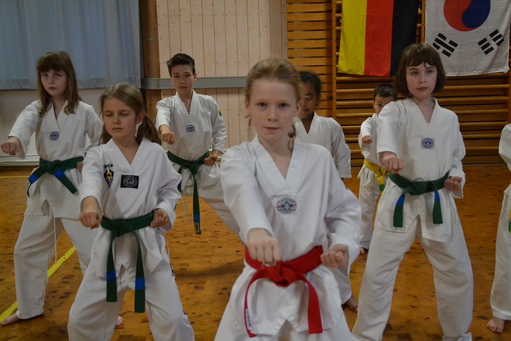 Tae Kwon Do Kinder-Mitmach-Tag