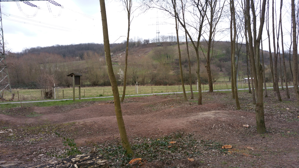 Das kleine Wäldchen hinter'm Tierpark