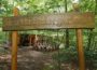 Walldorf: Neuer Waldkindergarten an „idealem Standort“