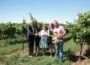 Presse-Termin zur Vorstellung des Winzerfests 2016 …