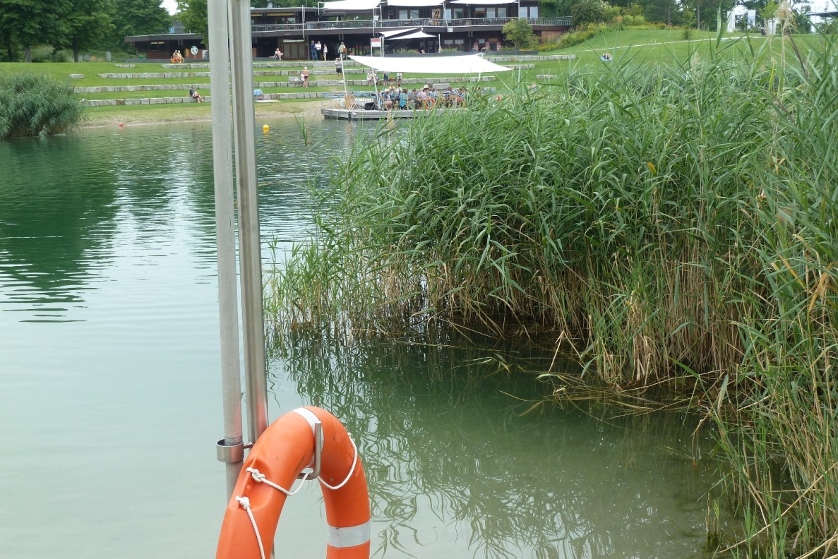 Walt Disneys Schwimm-Spaß-Tour im AQWA Walldorf