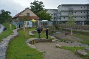 dsc_1550-resized-1280