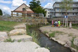 leimbach-wiesloch-2016 (10)