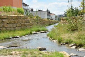 leimbach-wiesloch-2016 (8)