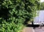 Walldorf: Geh- und Fahrwege von Gewächs freihalten
