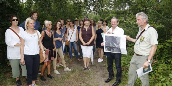 Waldschule Walldorf: Licht für den Maulbeerbuckel