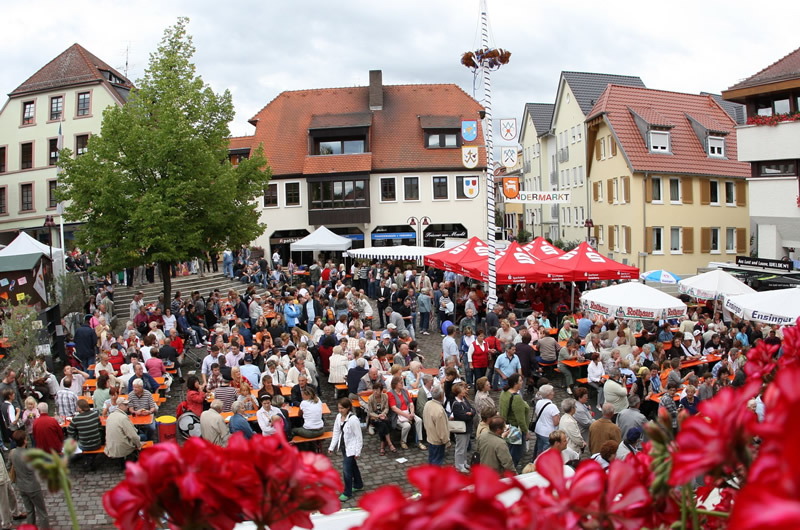 Wieslocher Winzerfest 2016