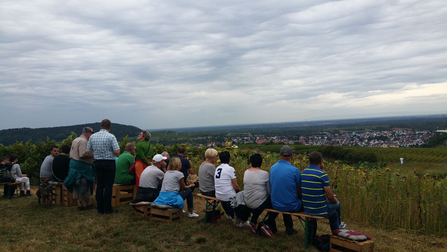 2. Rauenberger Weinwanderung – Trotz Regenwetter eine schöne Veranstaltung