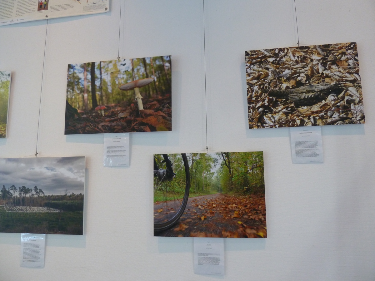 Ausstellung in der Stadtbücherei Walldorf: Siegerfotos des Fotowettbewerbs Schwetzinger Hardt