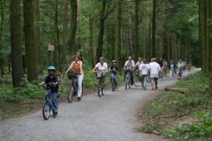 Radelnd zum Waldtag