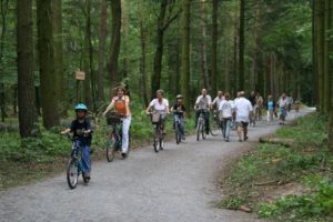 Radelnd zum Waldtag 