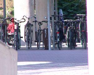 received_1392237194124241-resized-1280