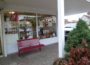 50 Jahre Astoria-Apotheke – Die gibt es nur einmal!