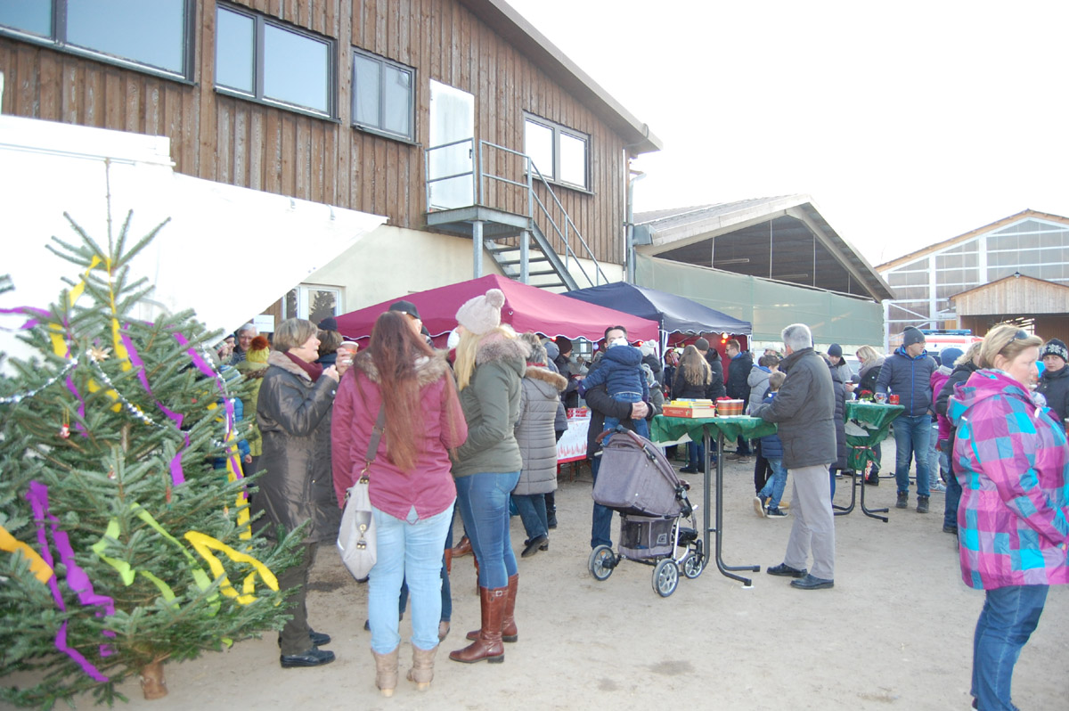 Benefizveranstaltung auf der Reitanlage Engelberth