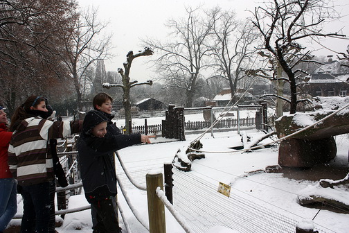 Winterferien mit der Heidelberger Zooschule