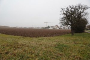 Walldorf. Blick auf Walldorf Sued mit der geplanten Erweiterungsflaeche. 21.12.2016 - Helmut Pfeifer.