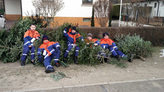 Mehrere tausend ausgediente Christbäume abtransportiert