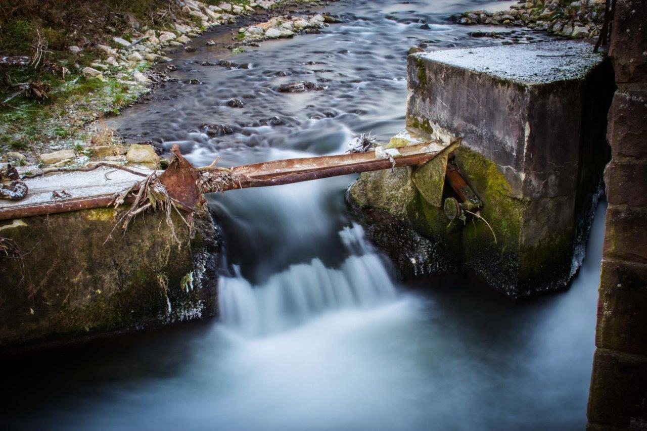 Bilder: Wieslocher Impressionen von Markus Bieck