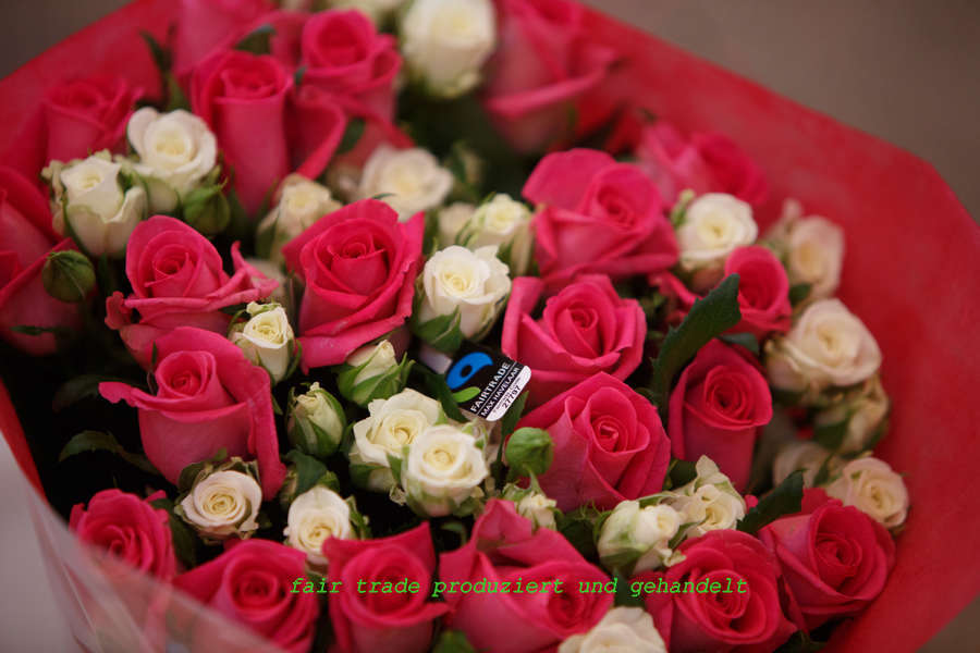 Zum Valentinstag, heute am 14. Februar: Mit Blumen Freude schenken – terre des hommes ruft zum Kauf von fair gehandelten Blumen auf