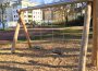 Schaukelsitze auf öffentlichem Kinderspielplatz in Baiertal manipuliert
