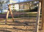 Schaukelsitze auf öffentlichem Kinderspielplatz in Baiertal manipuliert