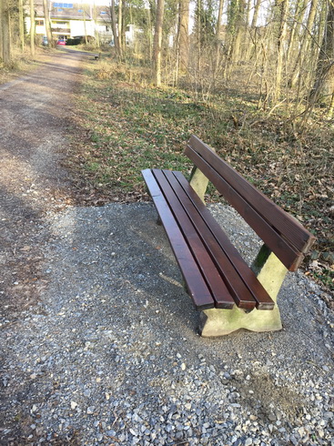 Sitzplätze im Dämmelwald neu hergerichet