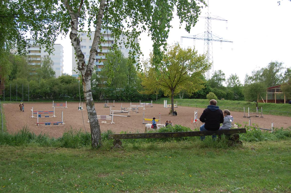 Reitverein Wiesloch eröffnet die Ponyreit-Saison