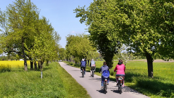 Kraichradweg