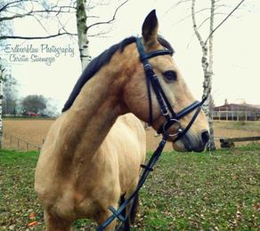 Ponyreiten beim Reitverein